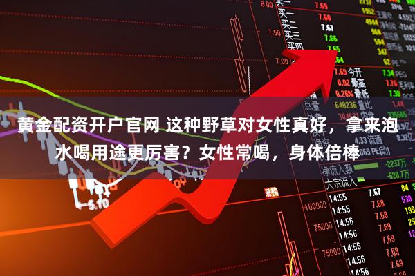 黄金配资开户官网 这种野草对女性真好，拿来泡水喝用途更厉害？女性常喝，身体倍棒