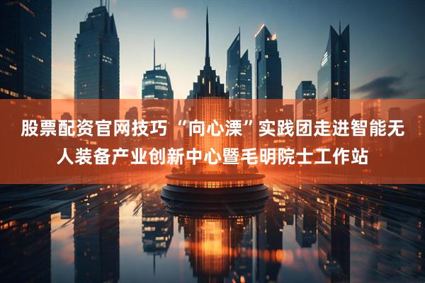股票配资官网技巧 “向心溧”实践团走进智能无人装备产业创新中心暨毛明院士工作站